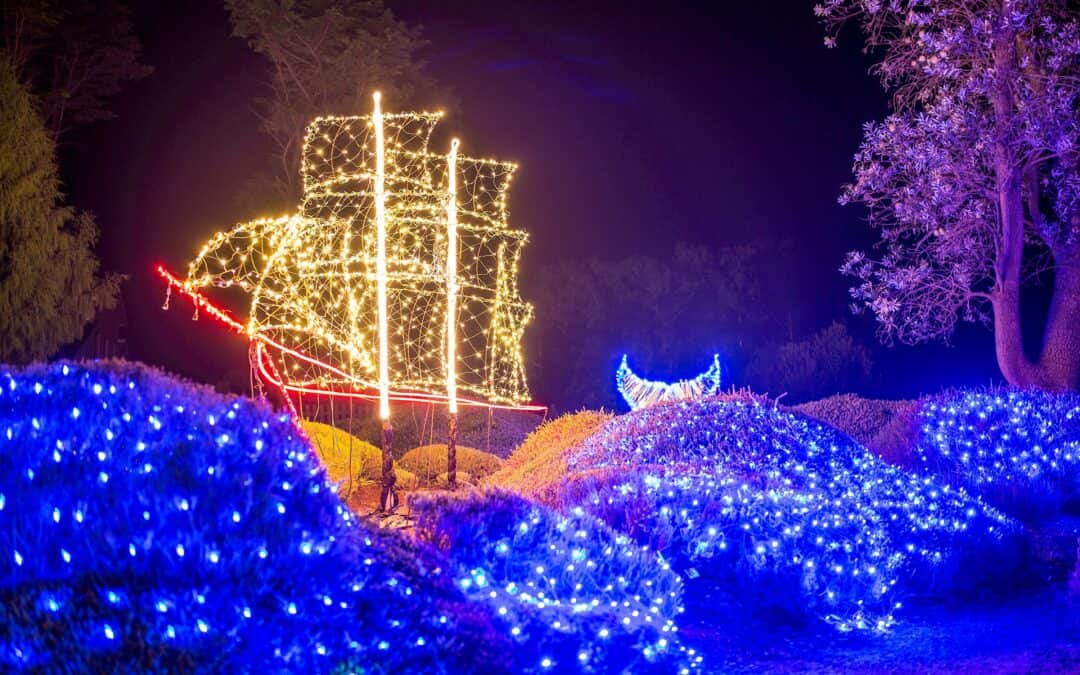 Festival Of Lights