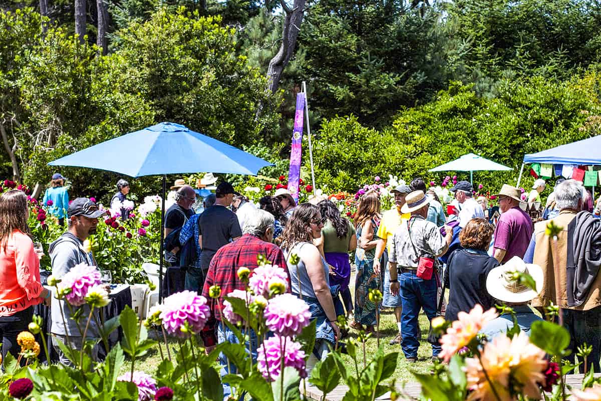 Art In The Gardens 2018 dahlia garden